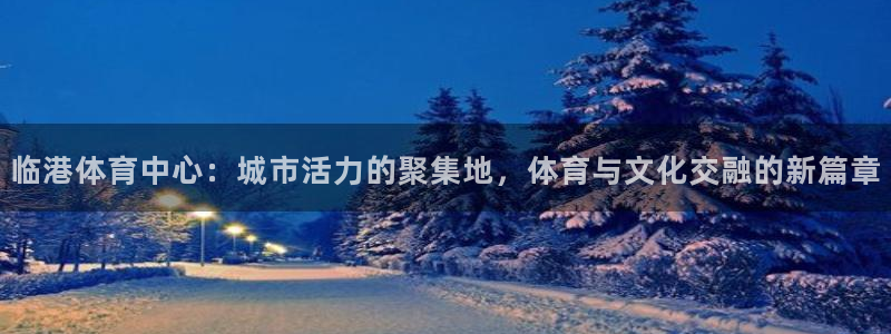 临港体育中心：城市活力的聚集地，体育与文化交融的新篇章