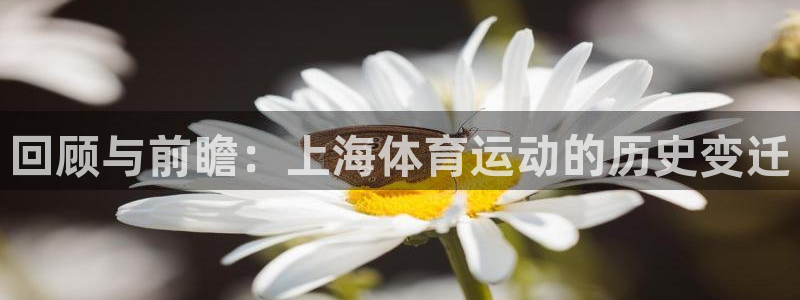 回顾与前瞻：上海体育运动的历史变迁
