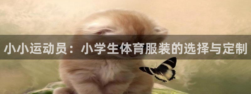 小小运动员：小学生体育服装的选择与定制