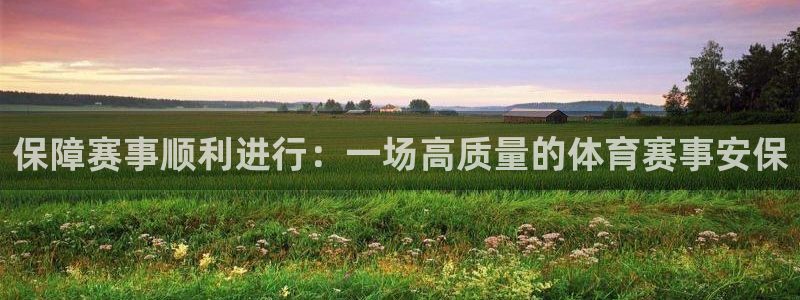 保障赛事顺利进行：一场高质量的体育赛事安保