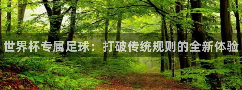 世界杯专属足球：打破传统规则的全新体验