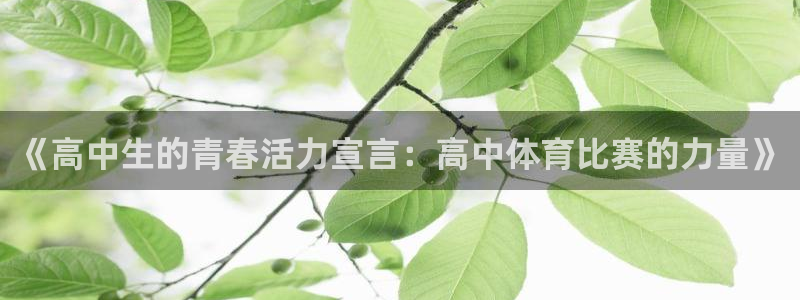 《高中生的青春活力宣言：高中体育比赛的力量》