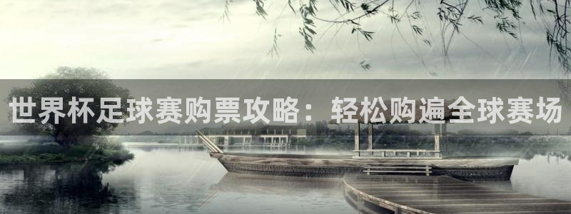 世界杯足球赛购票攻略：轻松购遍全球赛场