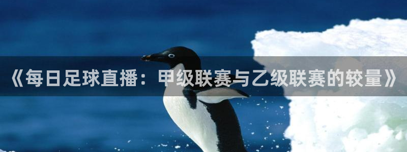 《每日足球直播：甲级联赛与乙级联赛的较量》