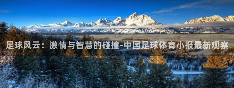 足球风云：激情与智慧的碰撞-中国足球体育小报最新观察