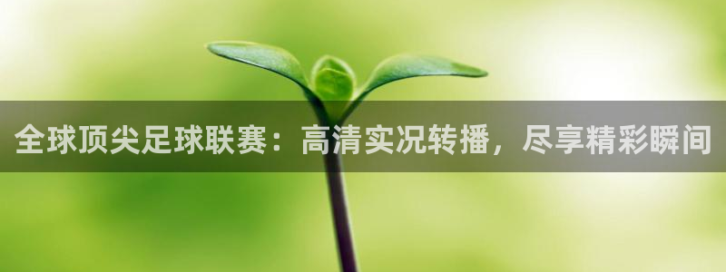 全球顶尖足球联赛：高清实况转播，尽享精彩瞬间