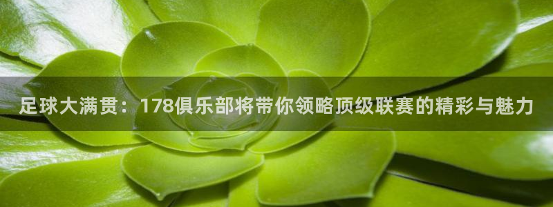 足球大满贯：178俱乐部将带你领略顶级联赛的精彩与魅力