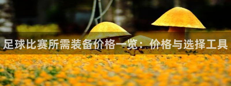 足球比赛所需装备价格一览：价格与选择工具
