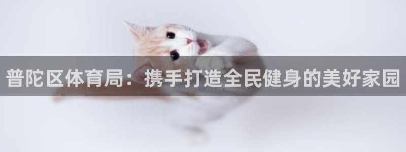 普陀区体育局：携手打造全民健身的美好家园
