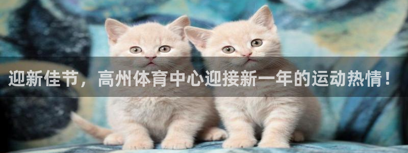 迎新佳节，高州体育中心迎接新一年的运动热情！
