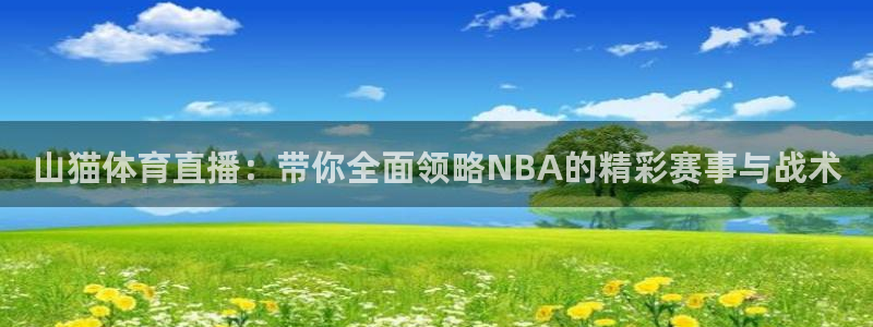 山猫体育直播：带你全面领略NBA的精彩赛事与战术