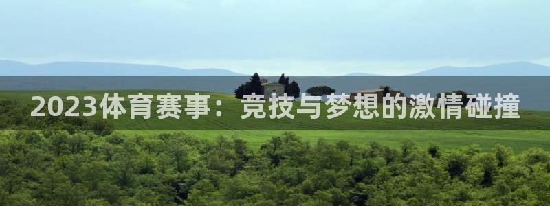 2023体育赛事：竞技与梦想的激情碰撞