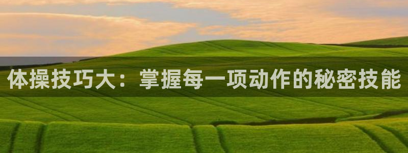 体操技巧大：掌握每一项动作的秘密技能