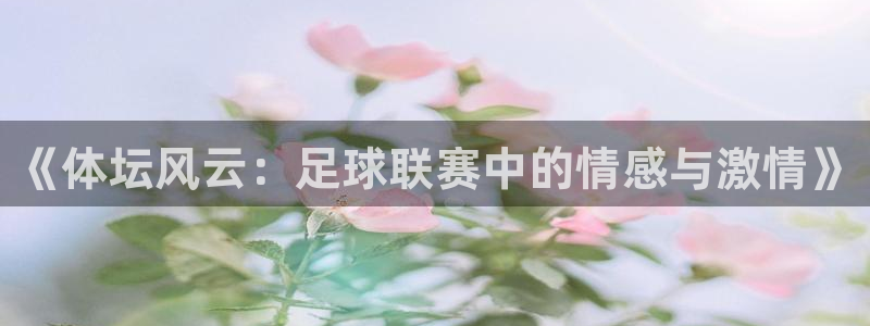 《体坛风云：足球联赛中的情感与激情》