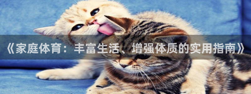 《家庭体育：丰富生活、增强体质的实用指南》