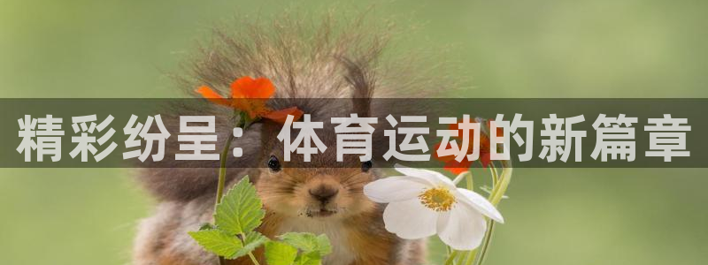 精彩纷呈：体育运动的新篇章