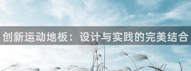 创新运动地板：设计与实践的完美结合