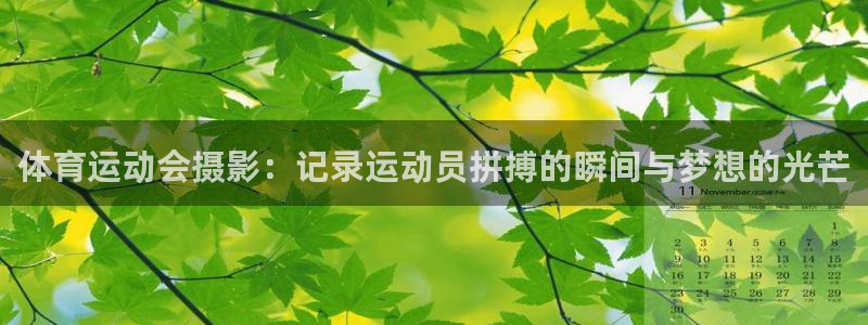 体育运动会摄影：记录运动员拼搏的瞬间与梦想的光芒