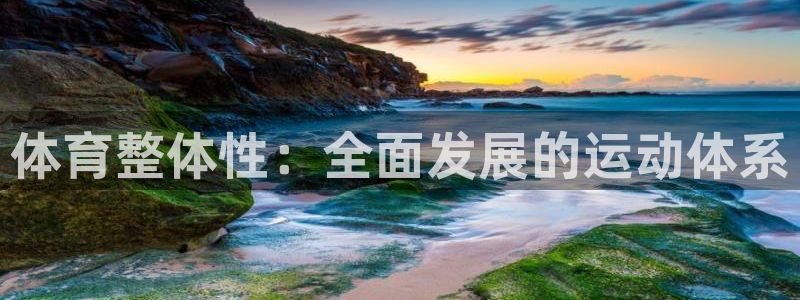 体育整体性：全面发展的运动体系