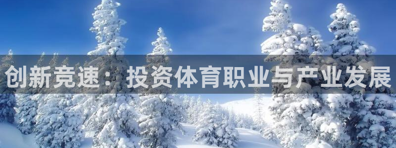创新竞速：投资体育职业与产业发展