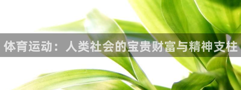 体育运动：人类社会的宝贵财富与精神支柱