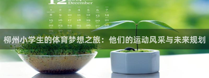 柳州小学生的体育梦想之旅：他们的运动风采与未来规划