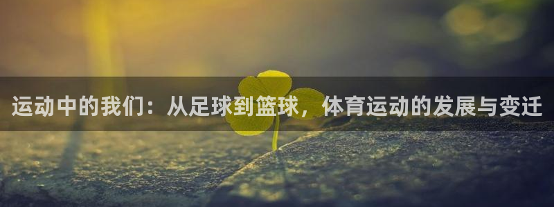 运动中的我们：从足球到篮球，体育运动的发展与变迁