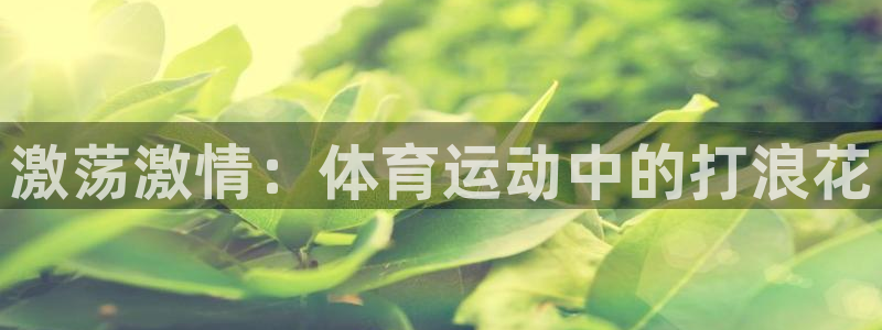 激荡激情：体育运动中的打浪花