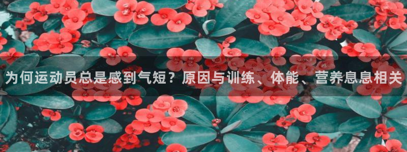 为何运动员总是感到气短？原因与训练、体能、营养息息相关
