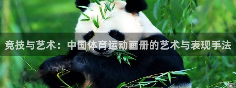 竞技与艺术：中国体育运动画册的艺术与表现手法