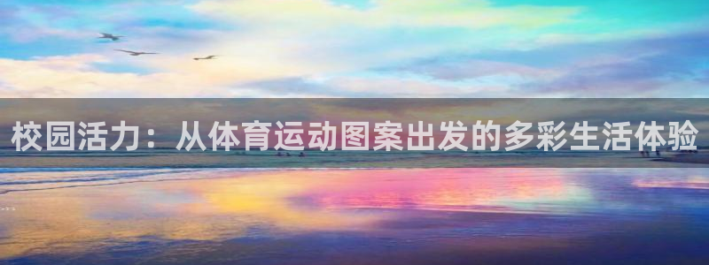 校园活力：从体育运动图案出发的多彩生活体验