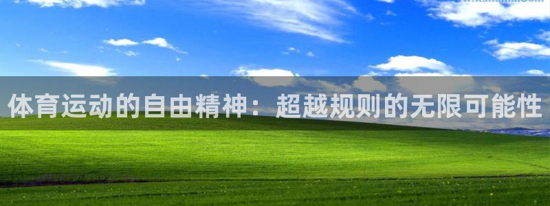 体育运动的自由精神：超越规则的无限可能性