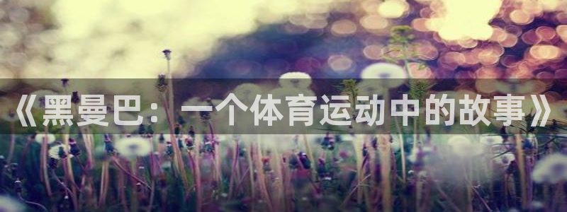 《黑曼巴：一个体育运动中的故事》
