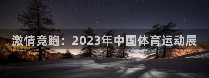 激情竞跑：2023年中国体育运动展