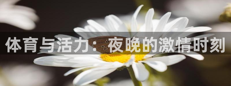 体育与活力：夜晚的激情时刻