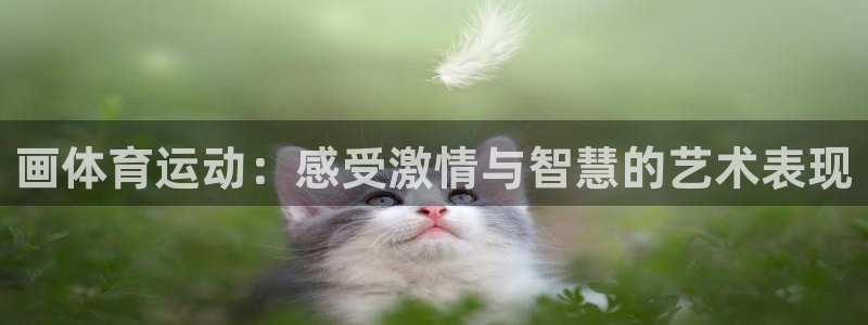画体育运动：感受激情与智慧的艺术表现