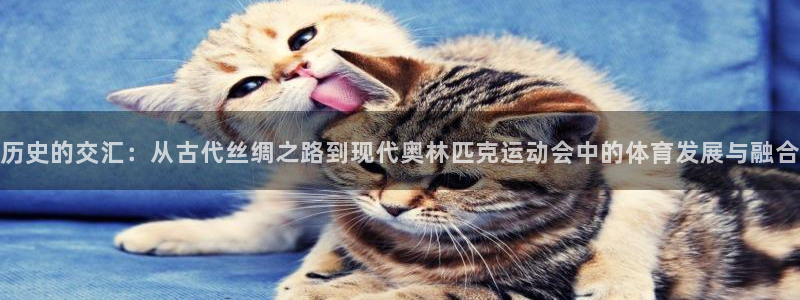历史的交汇：从古代丝绸之路到现代奥林匹克运动会中的体育发展与融合