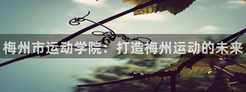 梅州市运动学院：打造梅州运动的未来