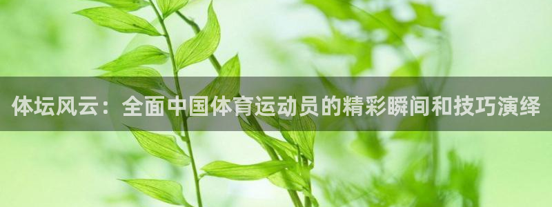 体坛风云：全面中国体育运动员的精彩瞬间和技巧演绎