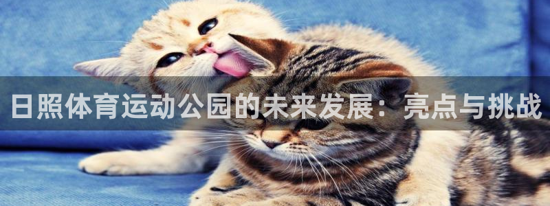 日照体育运动公园的未来发展：亮点与挑战