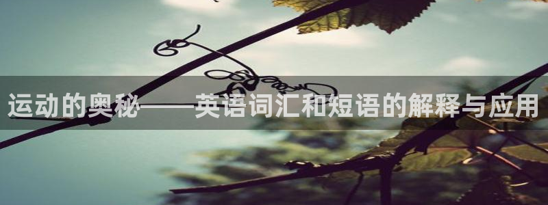 运动的奥秘——英语词汇和短语的解释与应用