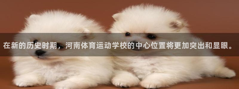 在新的历史时期，河南体育运动学校的中心位置将更加突出和显眼。