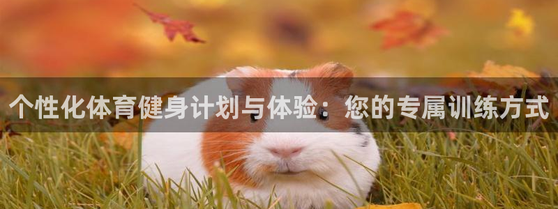 个性化体育健身计划与体验：您的专属训练方式